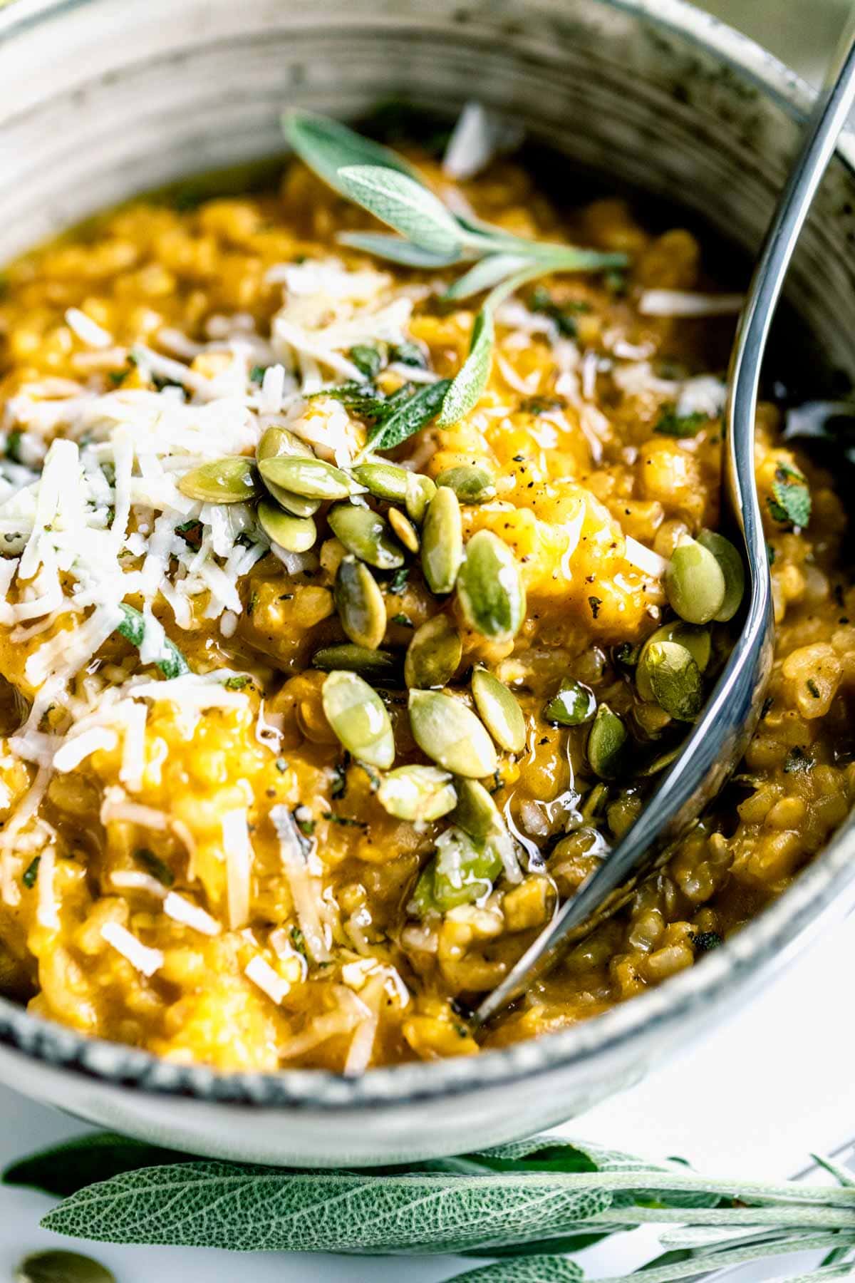 close up of pumpkin risotto