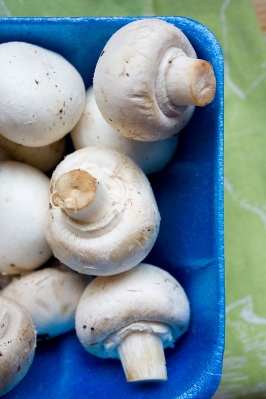 mushrooms in a blue foam tray