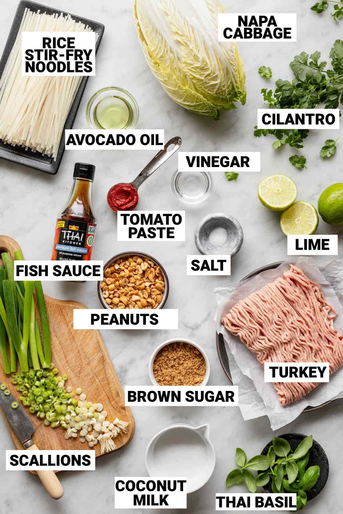 the pad thai ingredients with text overlay