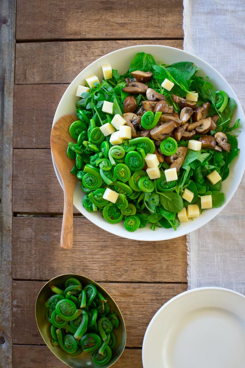 Marinated Mushroom and Fiddlehead Salad with Swiss Cheese in a salad bowl
