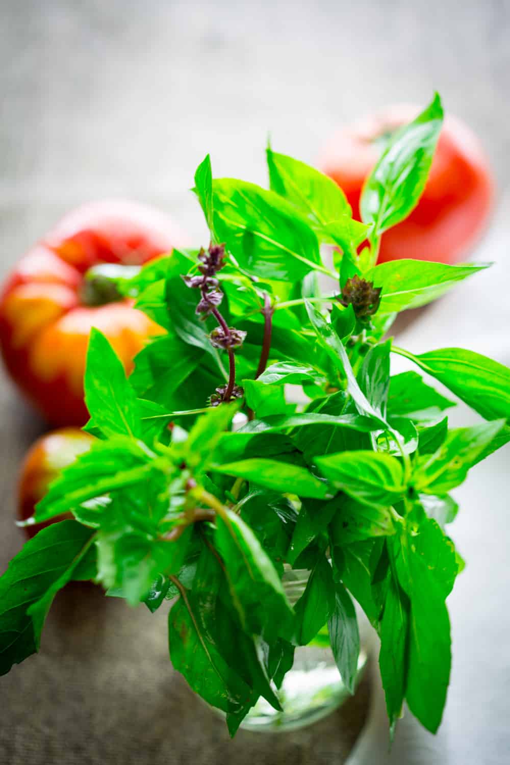 Thai basil in a mason jar
