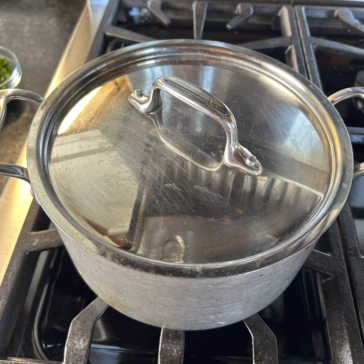 The pot with the lid on