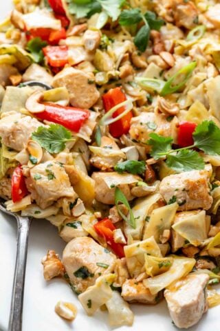 Super close up of the chicken cabbage stirfry with red bell peppers and cilantro sprigs with a large serving spoon