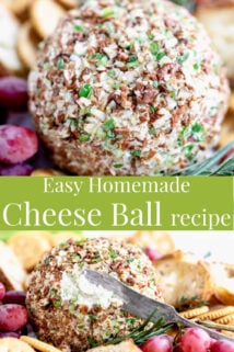 Cheese ball close-up and collage with text