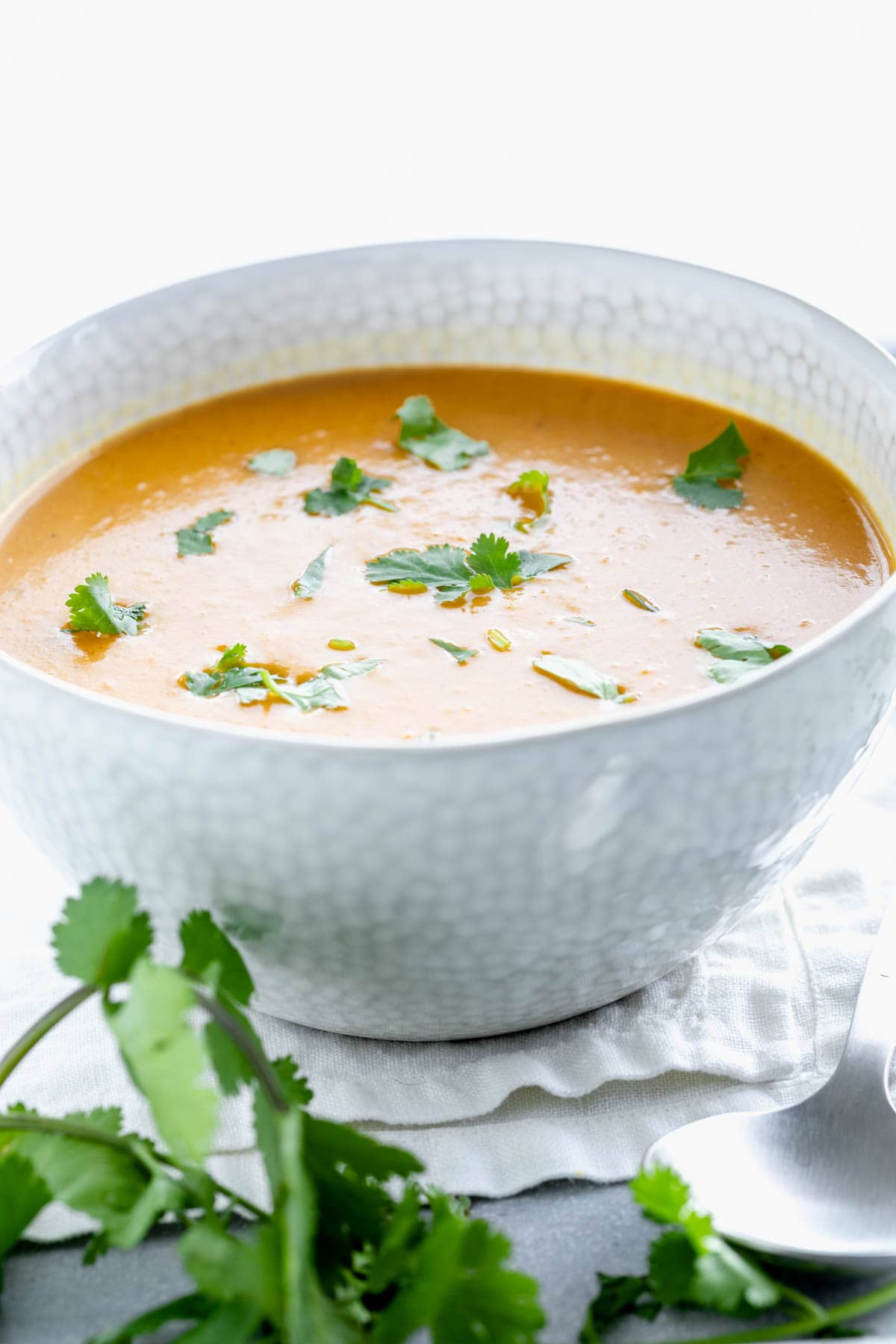 curry butternut squash soup in a white bowl with cilantro leaves