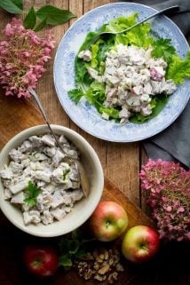Healthy Waldorf Chicken Salad, an easy gluten-free lunch that is high in protein but under 300 calories! It has celery, apples, walnuts and poached chicken breast in a creamy Greek yogurt dressing. #healthy #glutenfree #lunch #highprotein #chicken #chickensalad #apples #celery #walnuts #cleaneating #GreekYogurt #healthyseasonal