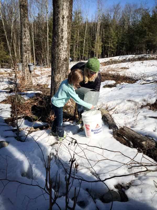 Maple Sugaring in Vermont 2014