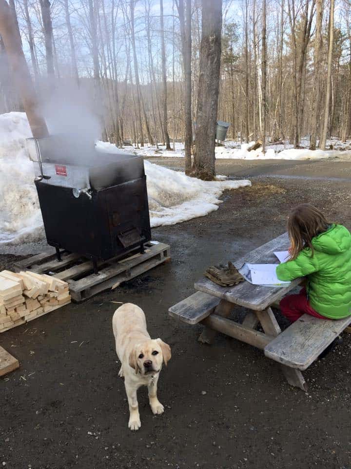 Sugaring Season 2015