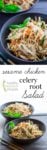 shredded chicken and celery root salad photo collage with text