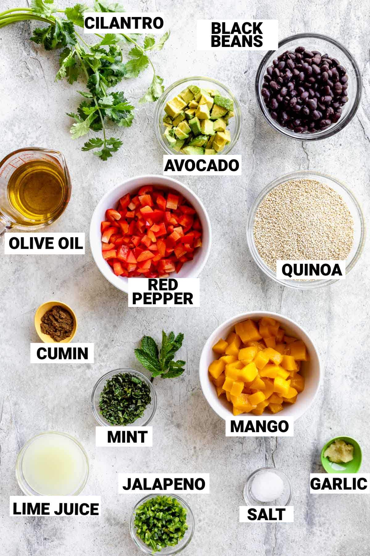 the ingredients for the recipe with text overlay