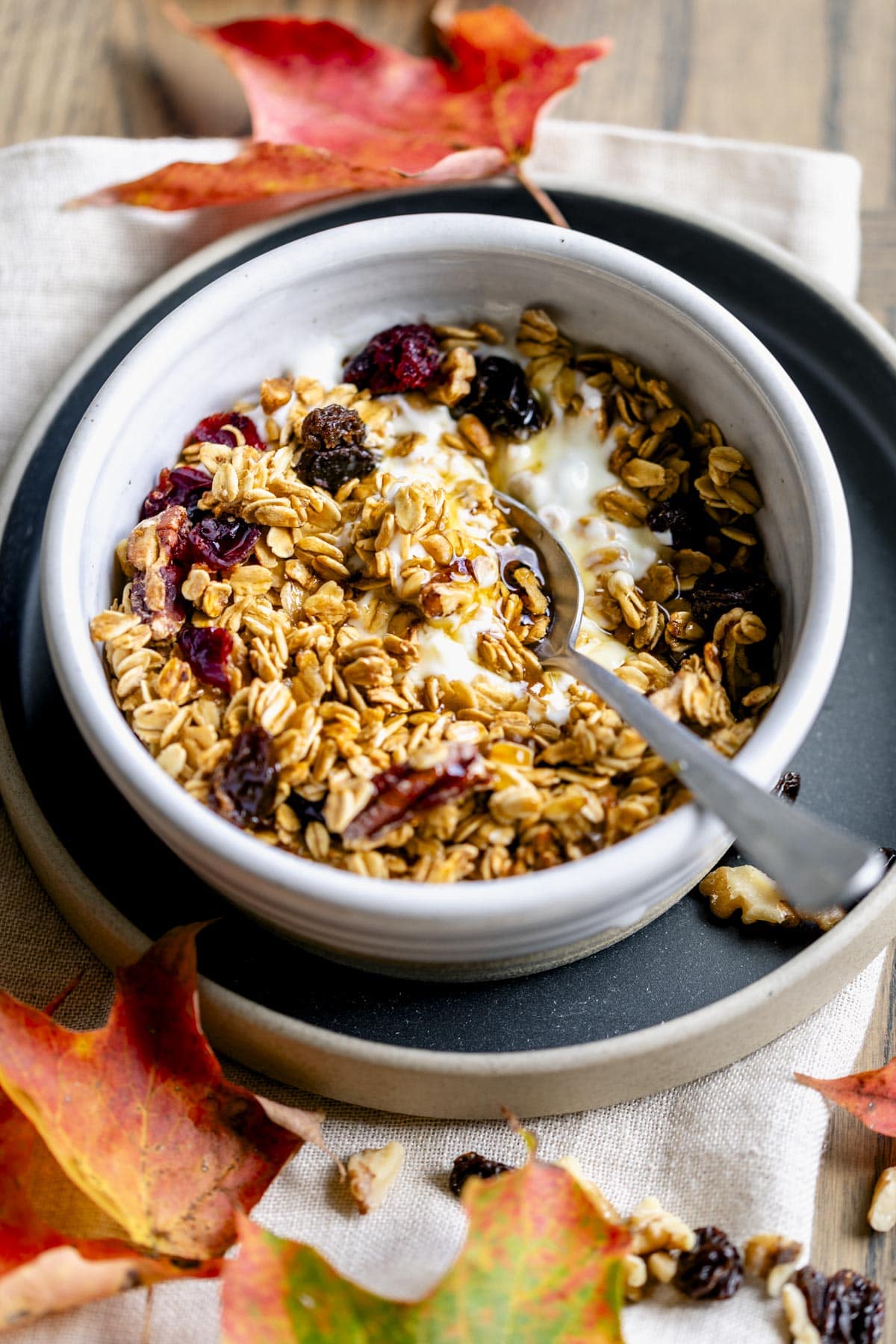 the granola and yogurt in a bowl from a three-quarter angle