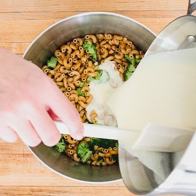 add sauce to the pasta mixture