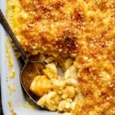 close up of mac and cheese with butternut squash in it