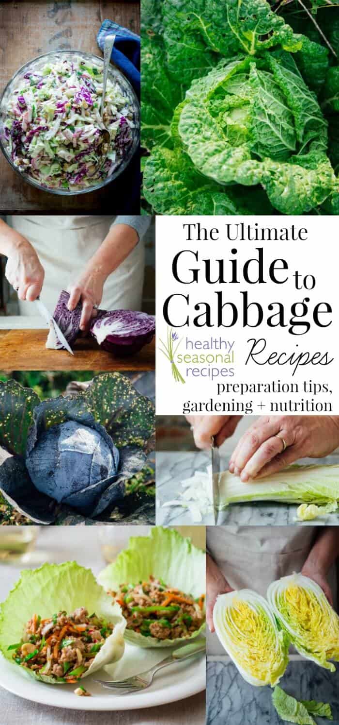 A person chopping Cabbage and closeup cabbage photos with text