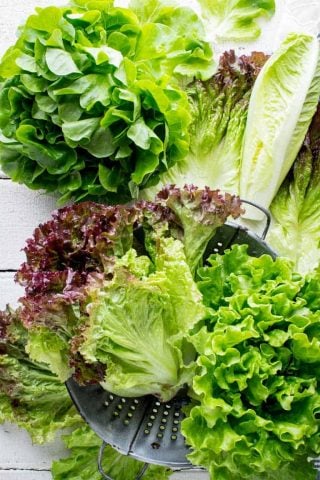 Produce Spotlight on Healthy Seasonal Recipes: The Ultimate Guide to Lettuce. Tips for home gardeners on how to grow, harvest and wash lettuce. How to cut lettuce. What are the different kinds of lettuce. And nutrtion tips. #lettuce #lowcarb #keto #lowcalorie #healthy