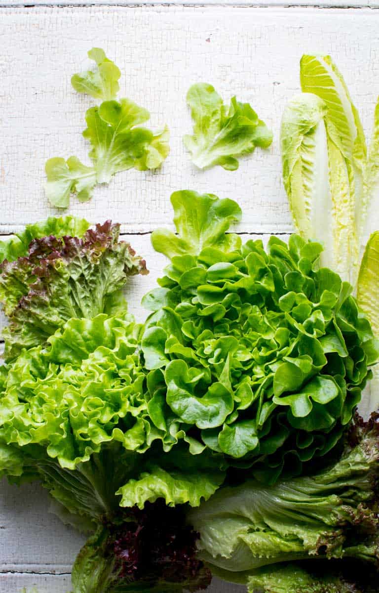 Lettuce displayed out on a table