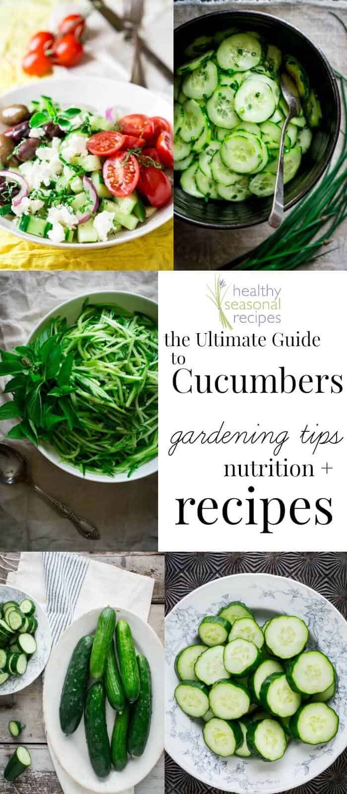 collage of cucumber recipes with text