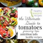 collage of tomato recipes with text