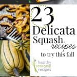 collage of Delicata squash