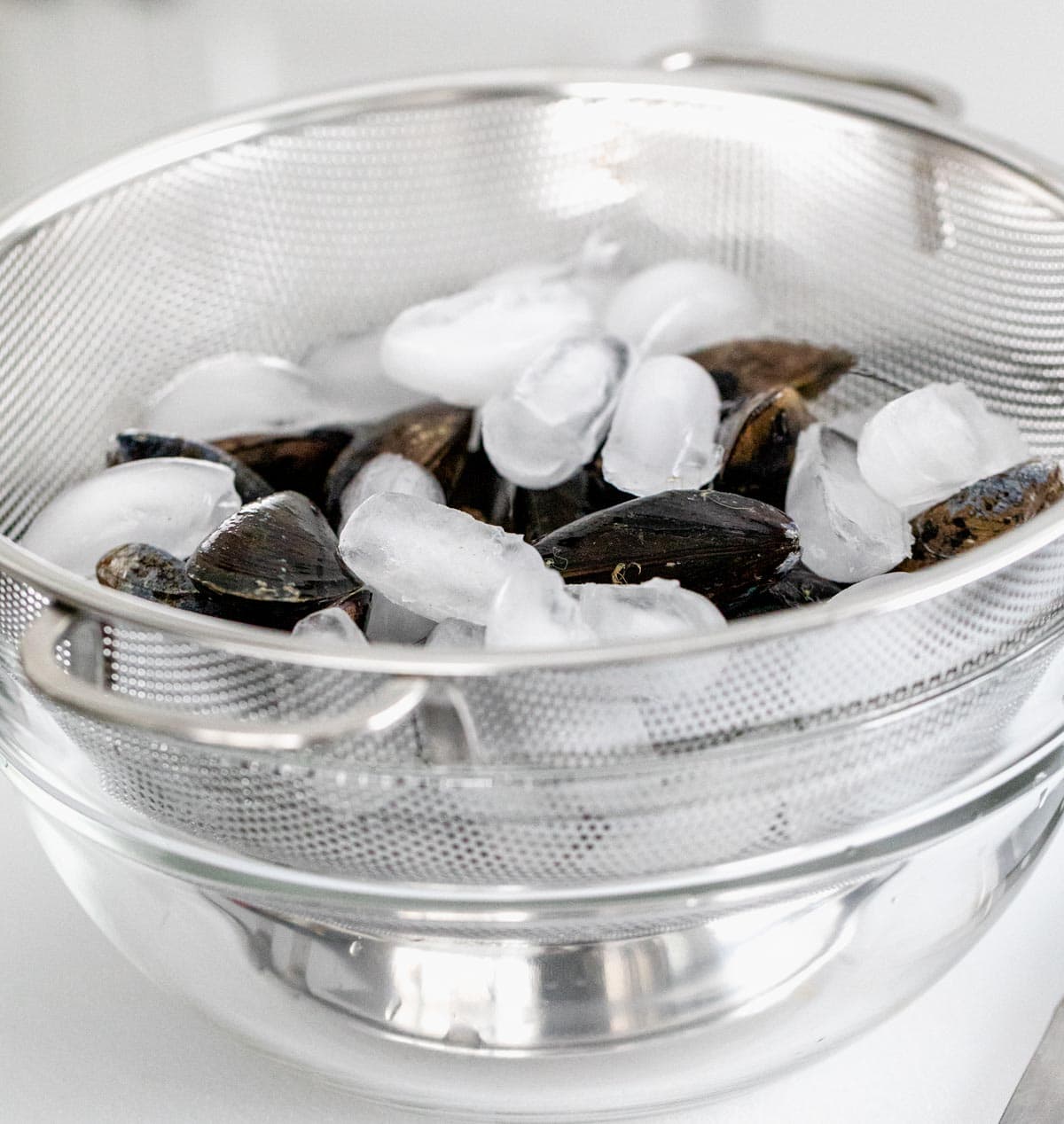 a bowl with mussels and ice for storage