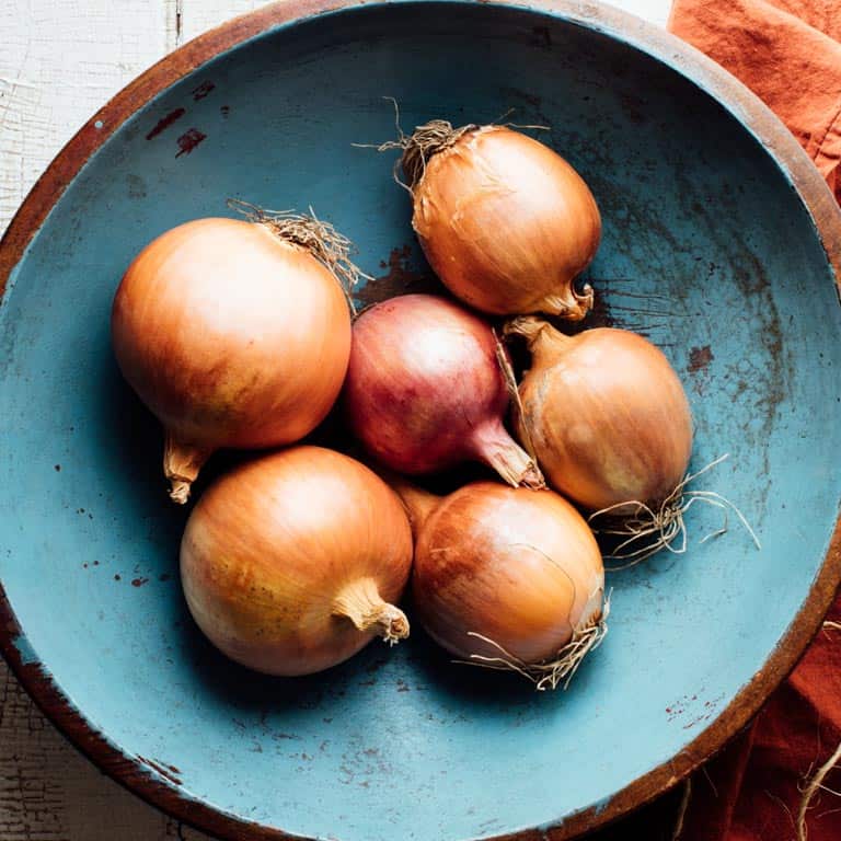 From hair growth to curing a common cold, there are many questions about these staple veggies. Ever wondered where onions came from? Or how do onions grow? And then there is the ongoing question of how do you caramelize one, or can onions be frozen? Look no further than this Ultimate Guide to Onions to learn everything about growing, cooking and nourishing about these lovely alliums. | Healthy Seasonal Recipes by Katie Webster #onions #caramelize #dice #producespotlight #seasonal