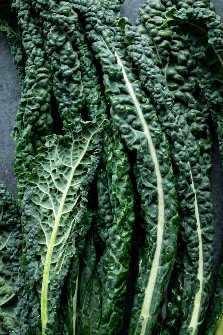 close up of tuscan kale