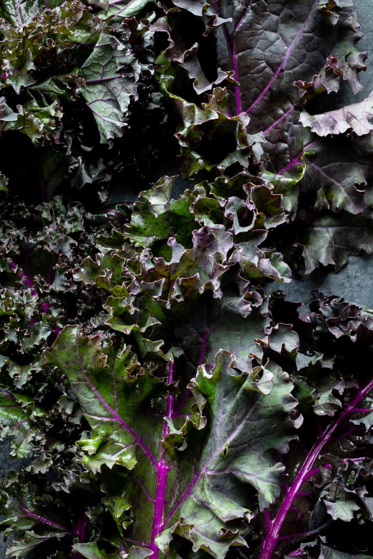 close up of purple curly kale