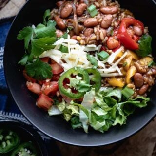 close up of a vegetarian burrito bowl