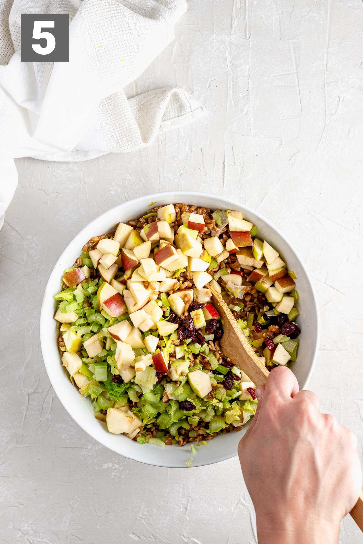 add the apples, walnuts, celery and remaining ingredients and stir to combine