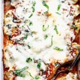 A close up overhead view inside a baking dish with stuffed shells