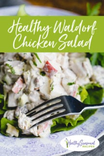 Close-up of chicken Waldorf Salad