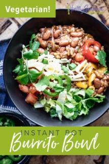 overhead burrito bowl with text