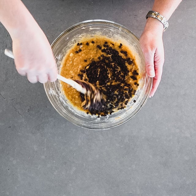 Add the chocolate chips and gently fold in
