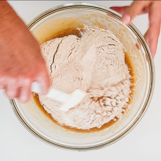 4. Add the dry mix to the wet mix and stir just until combined. Add in apples and stir to combine