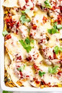 close-up of easy Mexican casserole