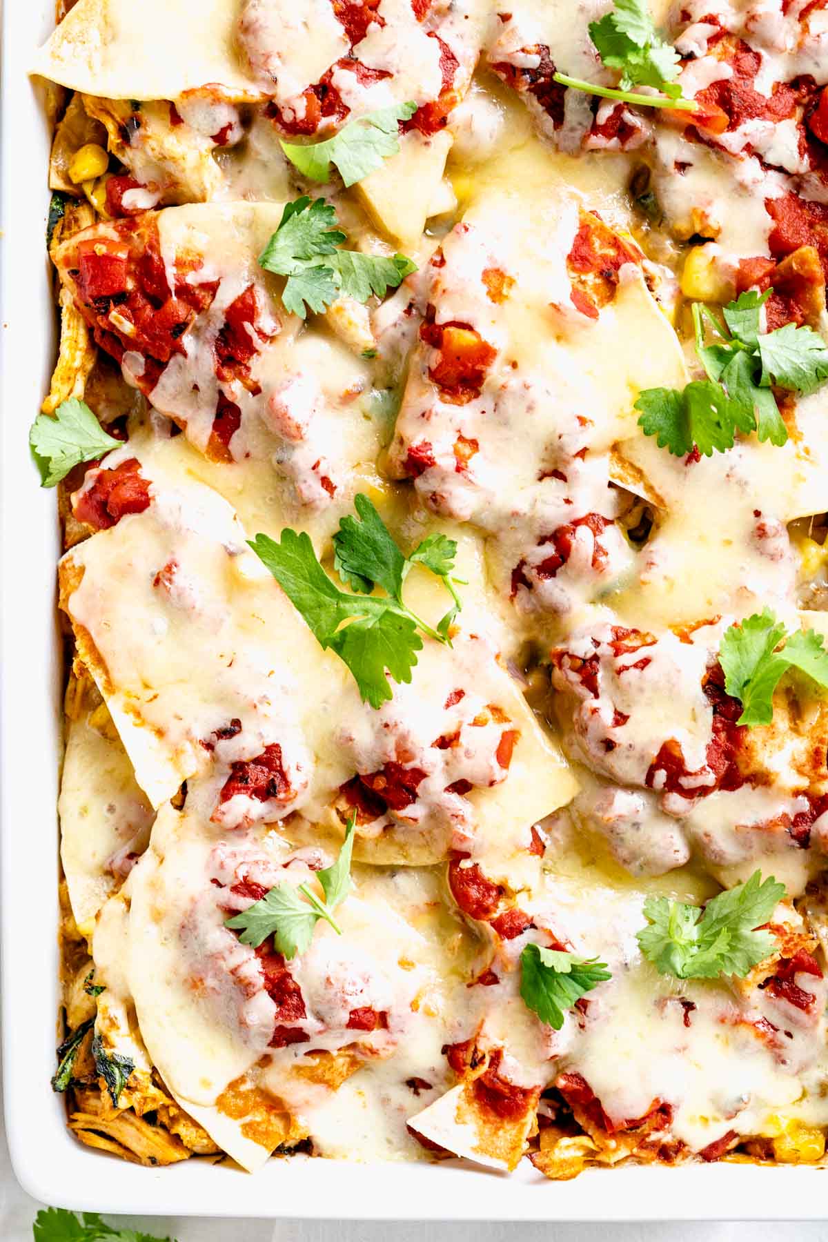 close-up of easy Mexican casserole