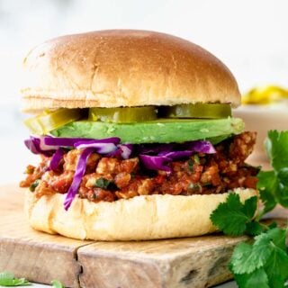 a closeup of the sloppy joe from the side