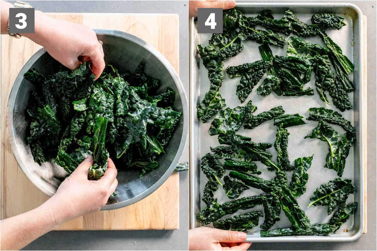 preparing the kale for making chips