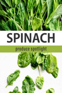 spinach spotlight text overlay