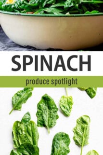 spinach spotlight text overlay