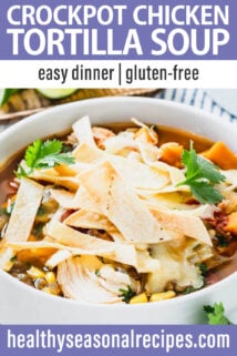 chicken tortilla soup text overlay