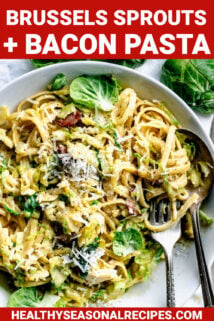 brussels pasta photo with text overlay