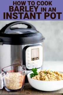 a bowl of barley with an instant pot in the background