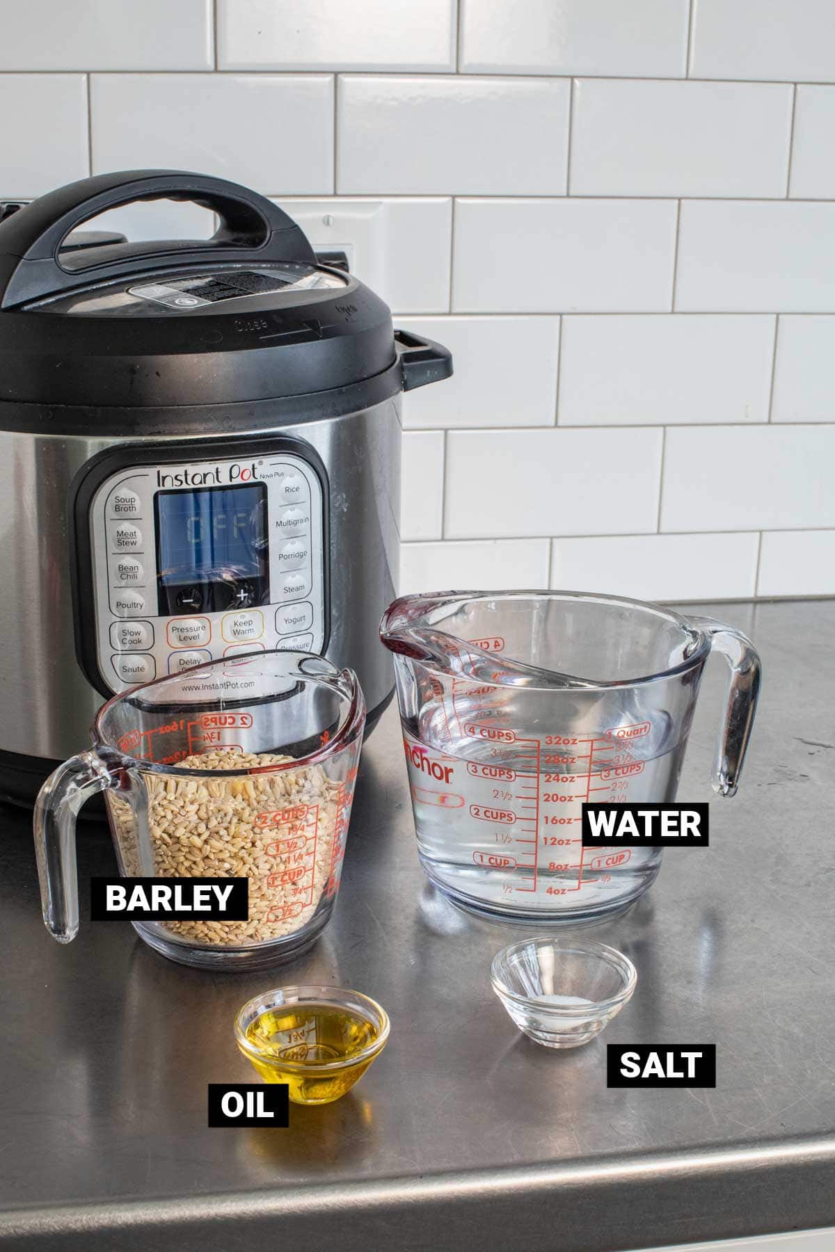 ingredients on a counter with text overlay
