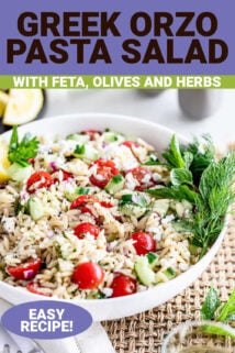 Greek Orzo Pasta in a white bowl on a table with a text box above it with the title on it.