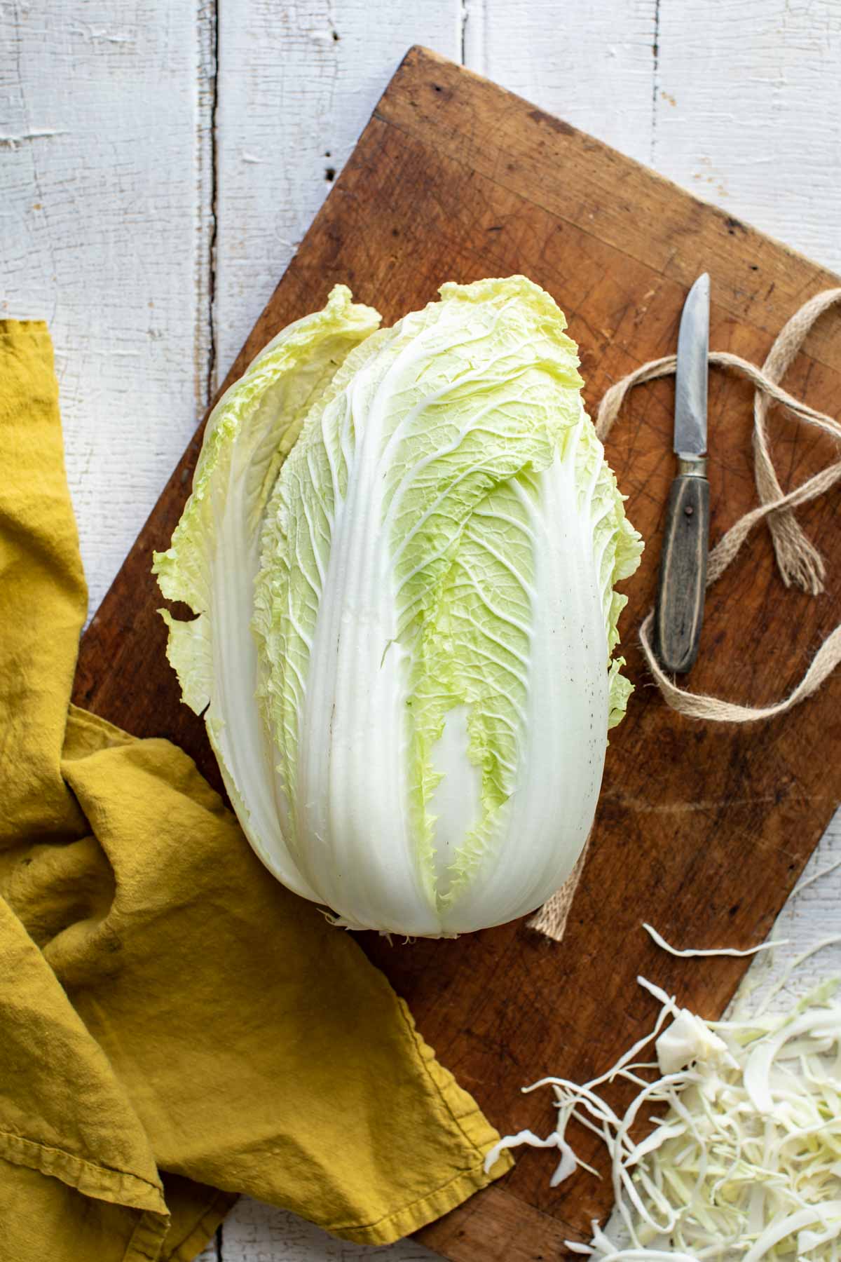 napa cabbage on a wooden cutting board with a small knife and twine