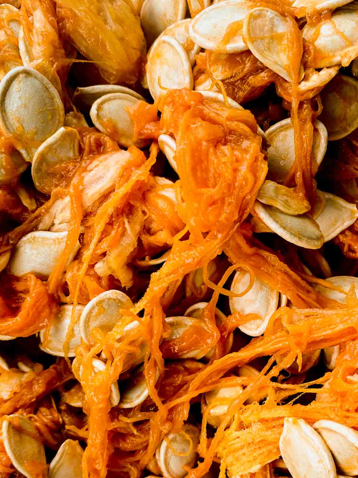 pumpkin seeds and pulp closeup