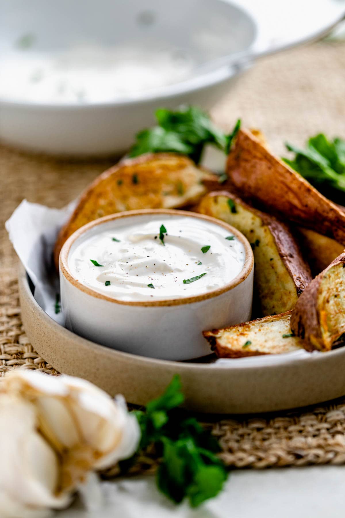Greek Yogurt Sauce in a small bowl with a plate of steak fries