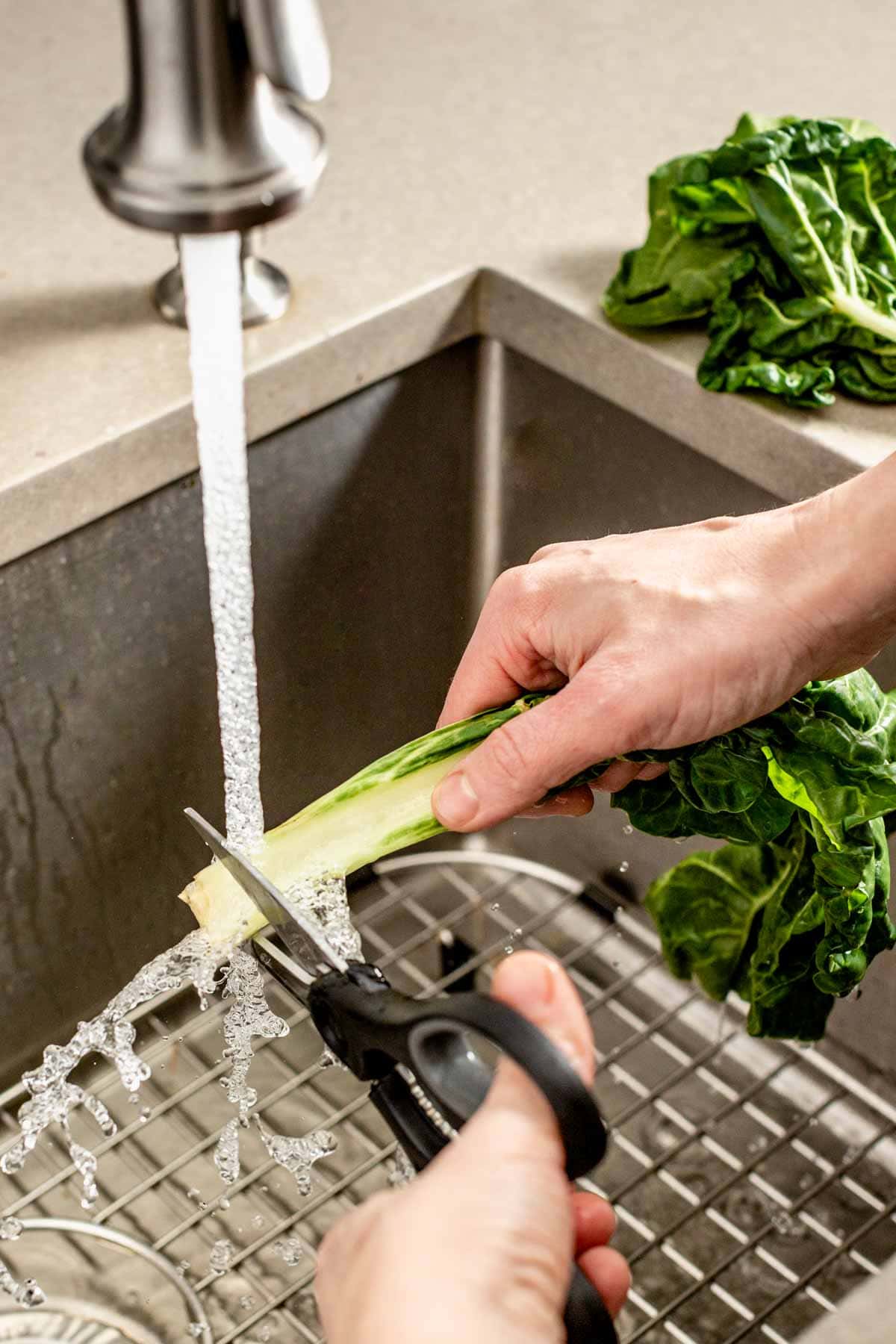 trimming stalk of chard