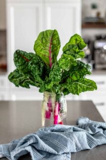 a bouquet of Swiss Chard